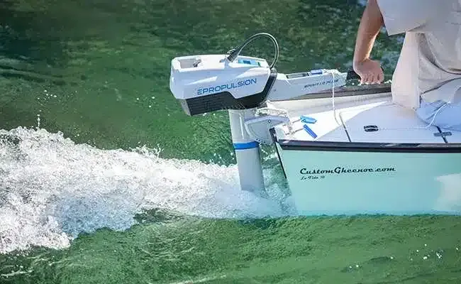 2025 Spirit 1.0 Plus - Image 2